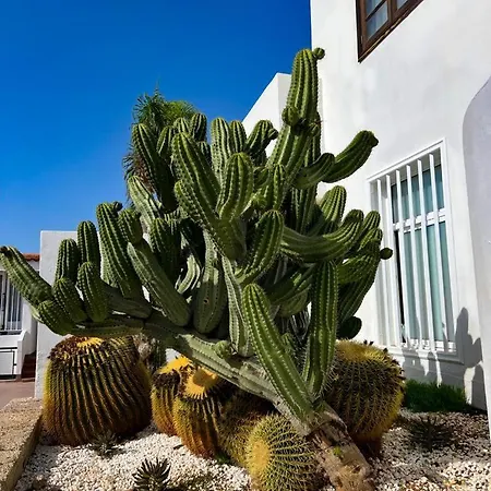 Malibu Grey Lägenhet Costa Adeje (Tenerife)